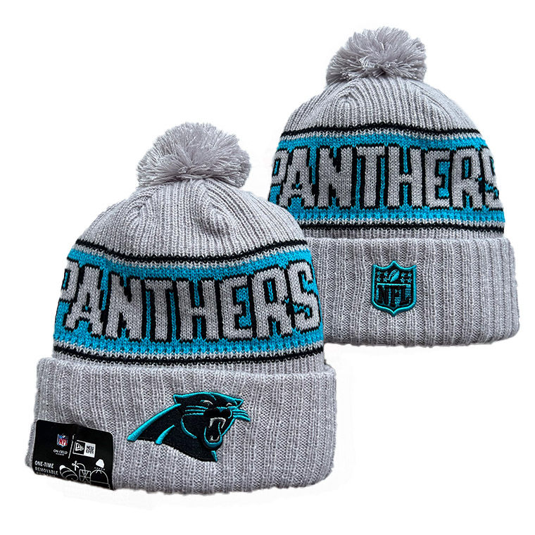 Carolina Panthers 2025 Knit Hats 018